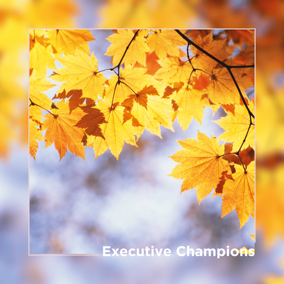 Executive Champions